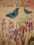 Butterfly Flowers Vintage Postcard
