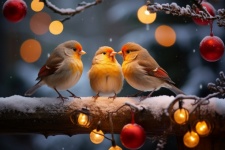 Winter Birds Art