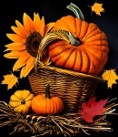Autumn Pumpkin Floral Arrangement