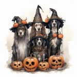 Halloween Witch Dogs