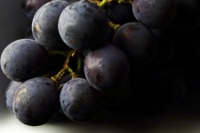 Ripe Black Grapes On A Table Top