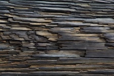 Natural Distressed Wood Background