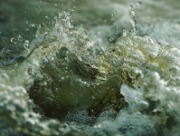 Abstract Water Splashes