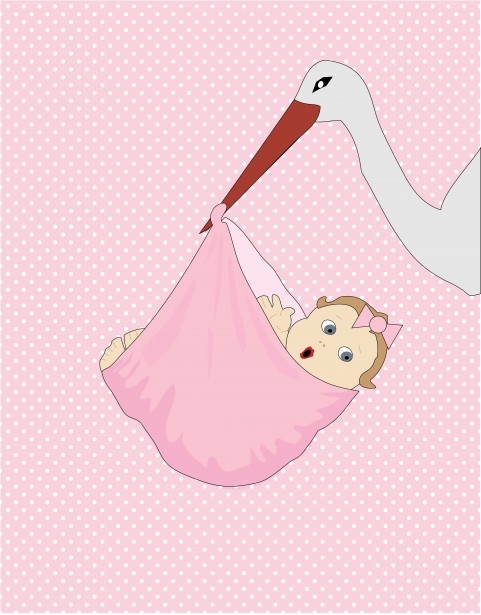 free stork with baby girl clipart - photo #50
