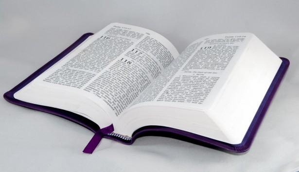 Biblia Abierta En El Salmo 118 Stock De Foto Gratis Public Domain 