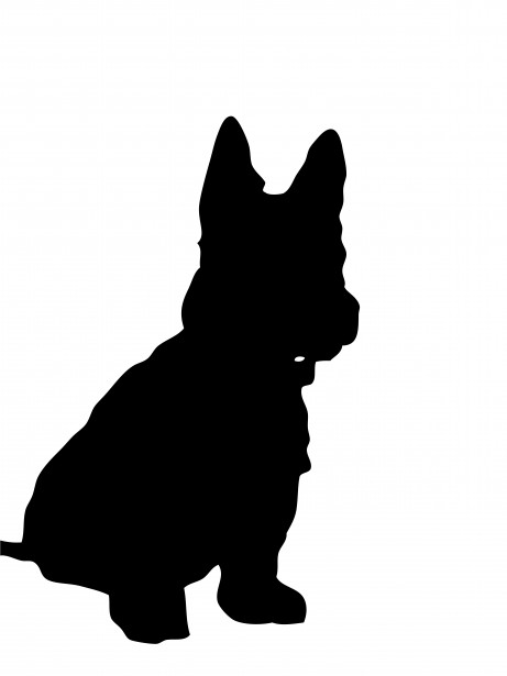 [Image: dog-silhouette-1381342045f3b.jpg]