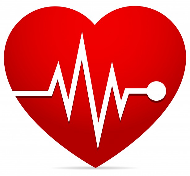 free heart monitor clipart - photo #17