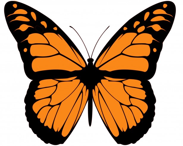 clip art free monarch butterfly - photo #11