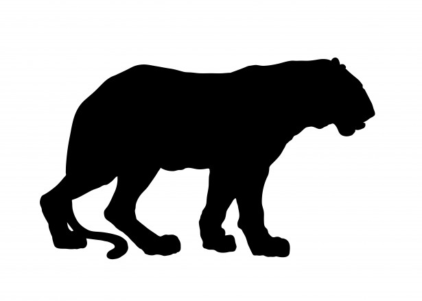 free clipart of big cats - photo #31