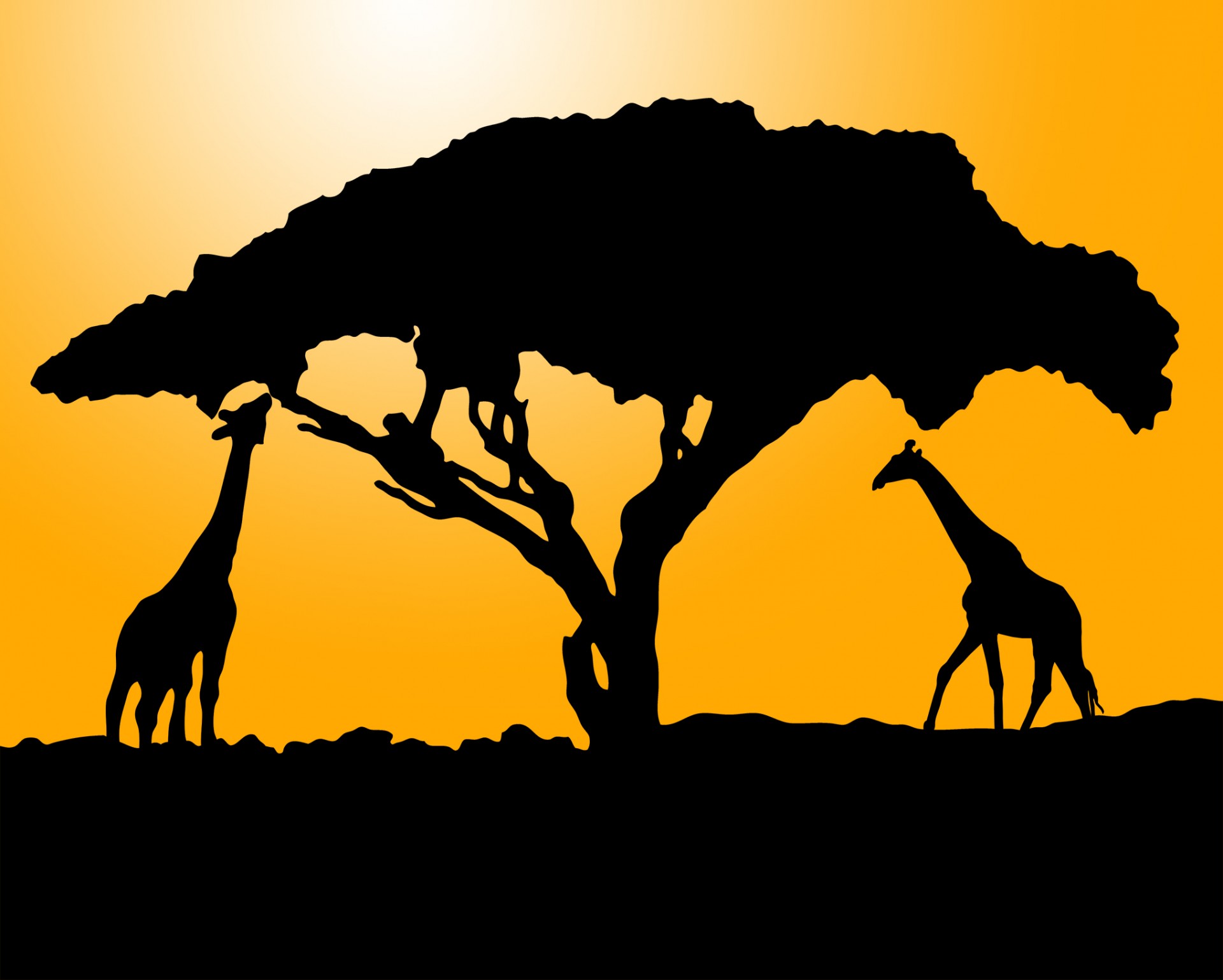 Giraffe Silhouette At Sunset Free Stock Photo - Public Domain Pictures