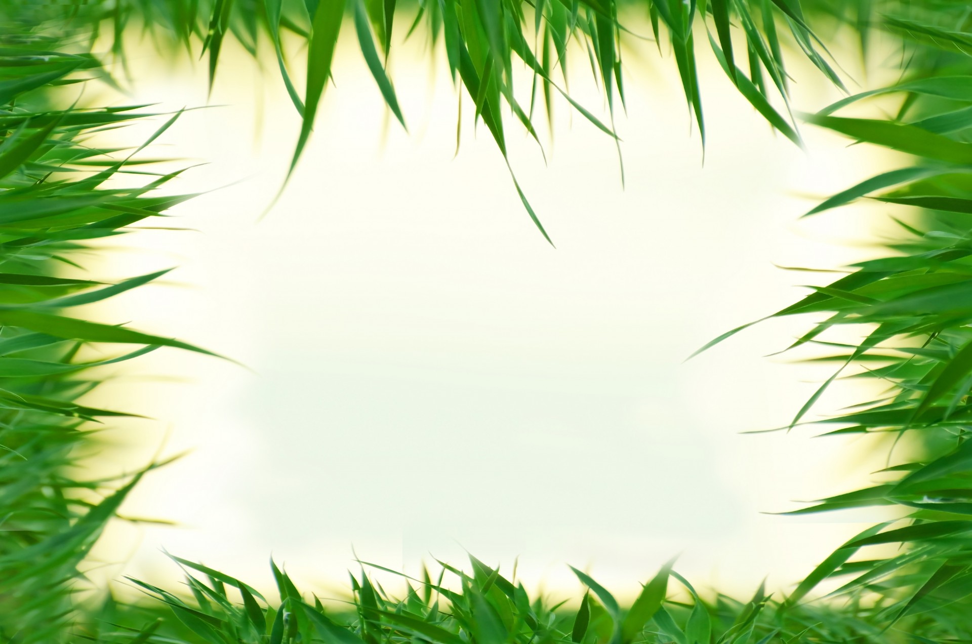 Natural Background Frame Free Stock Photo - Public Domain Pictures