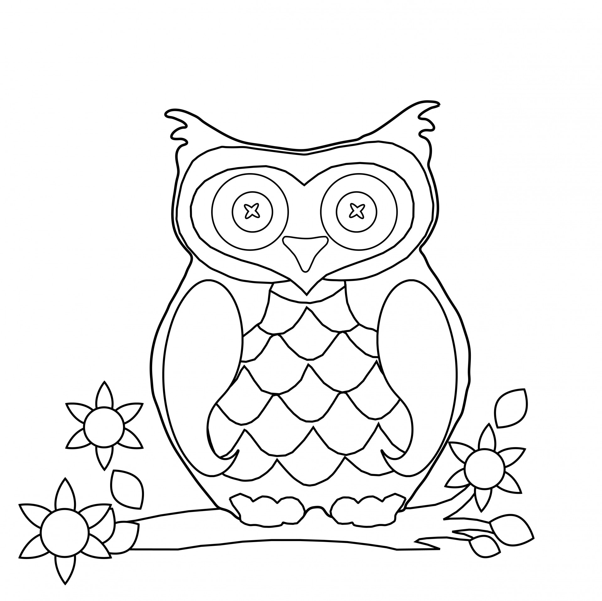 Owl Coloring Page Clipart Free Stock Photo - Public Domain Pictures
