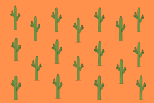 Cactus Design Green On Orange Backg