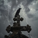 Crow In Cemetary
