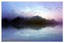 Fantasy Landscape Lake Full Moon