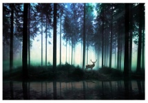 Deer Forest Fantasy Landscape