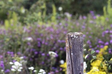 Wooden Post Fence Post Flowers