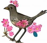 Brown Bird With Pink Flowers Art
