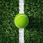 Tennis Ball Court Line Art
