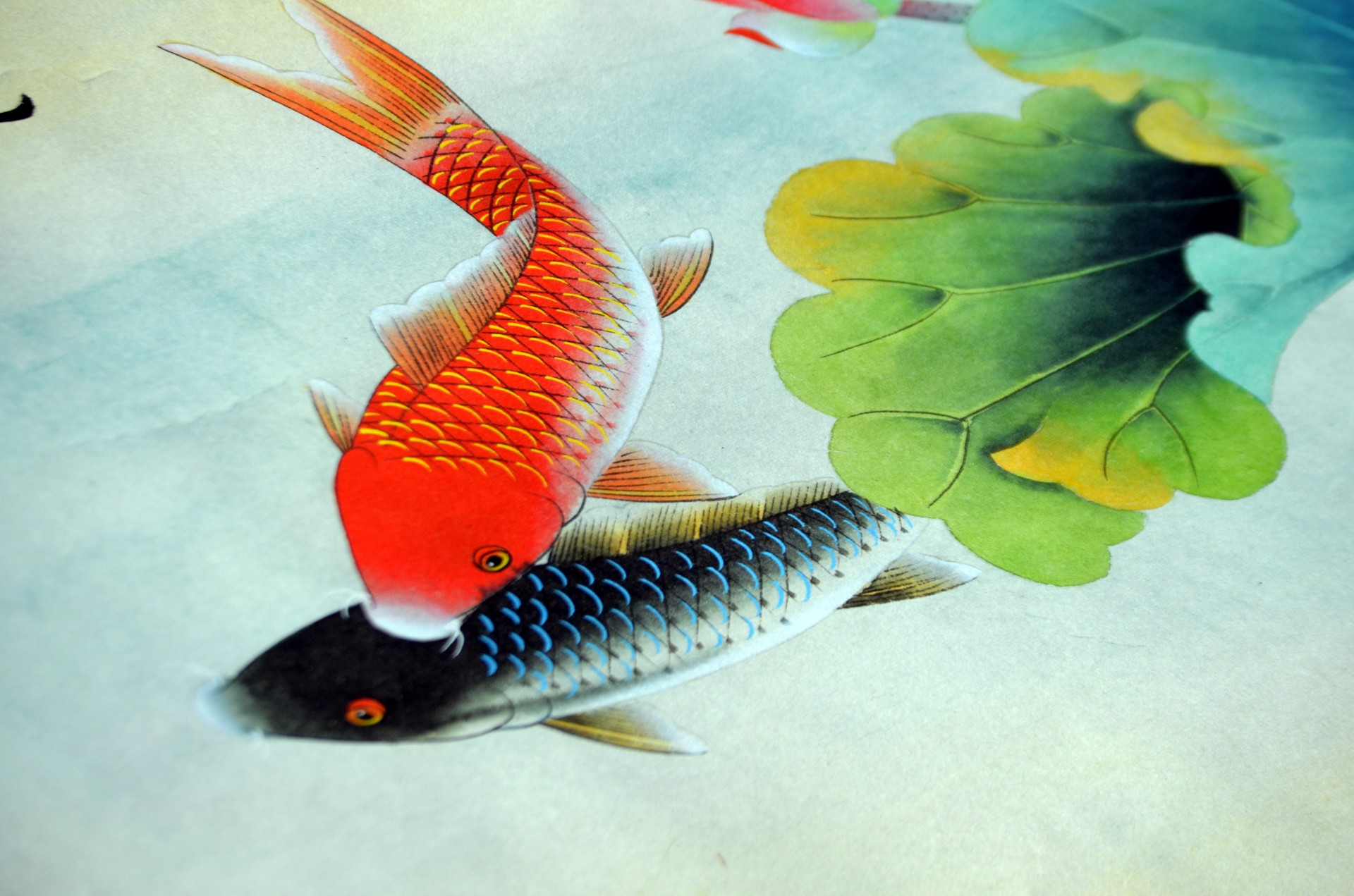 Fish Illustration (b)