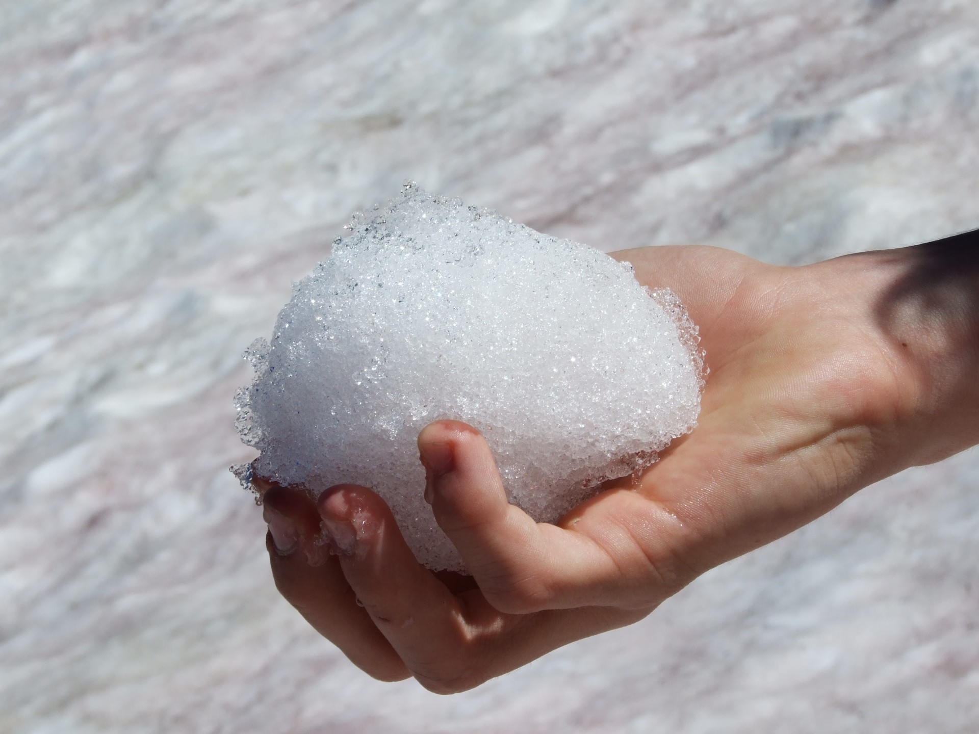 Snowball Free Stock Photo - Public Domain Pictures