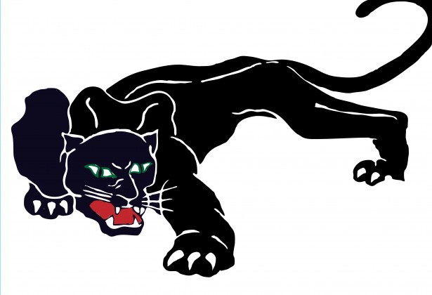 free panther logo clip art - photo #4