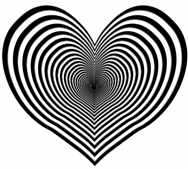 clip art zebra heart - photo #1