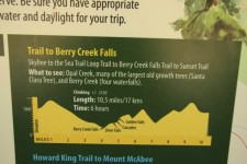 Berry Creek Falls Yosemite