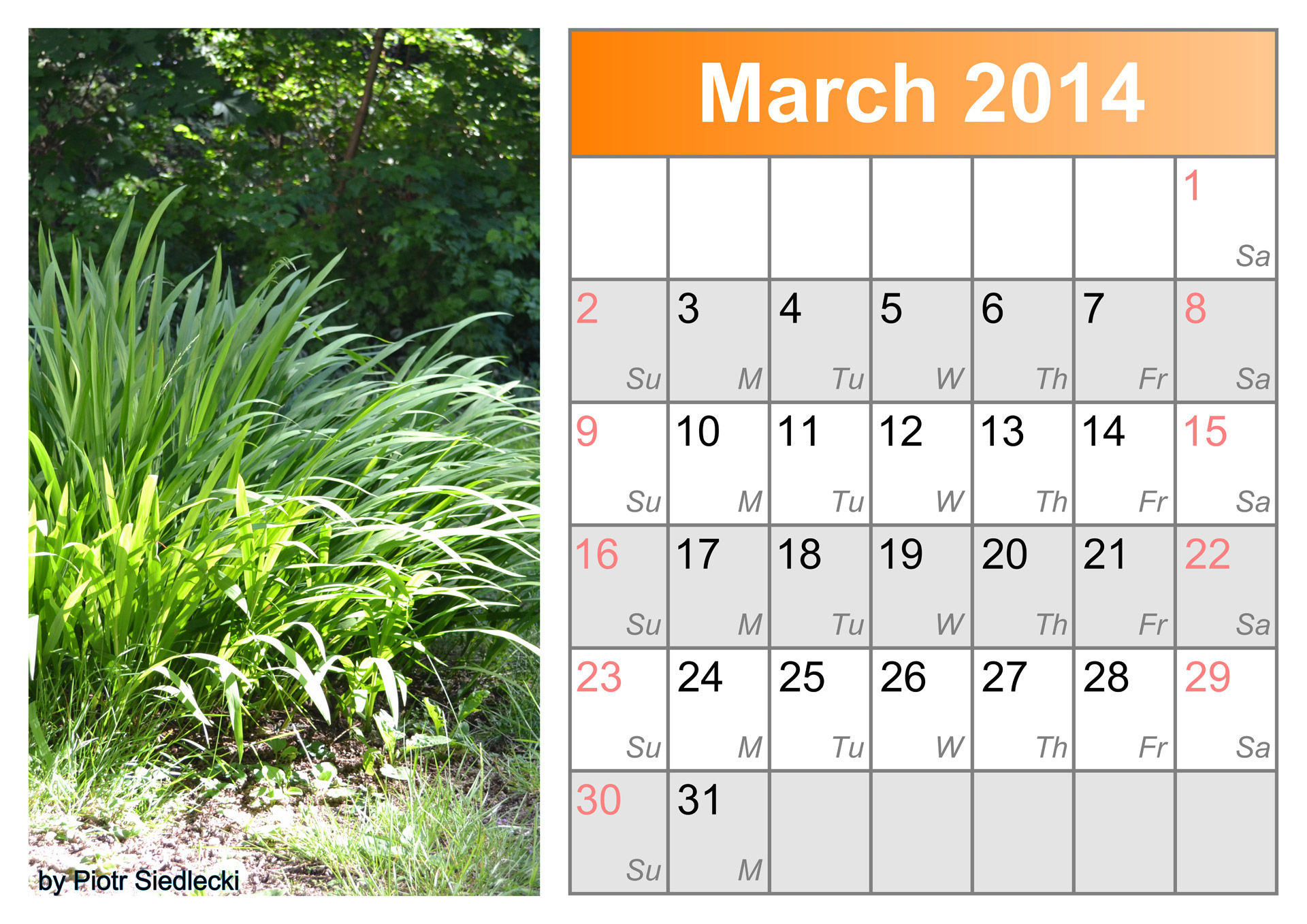 calendar-month-march-2014-free-stock-photo-public-domain-pictures