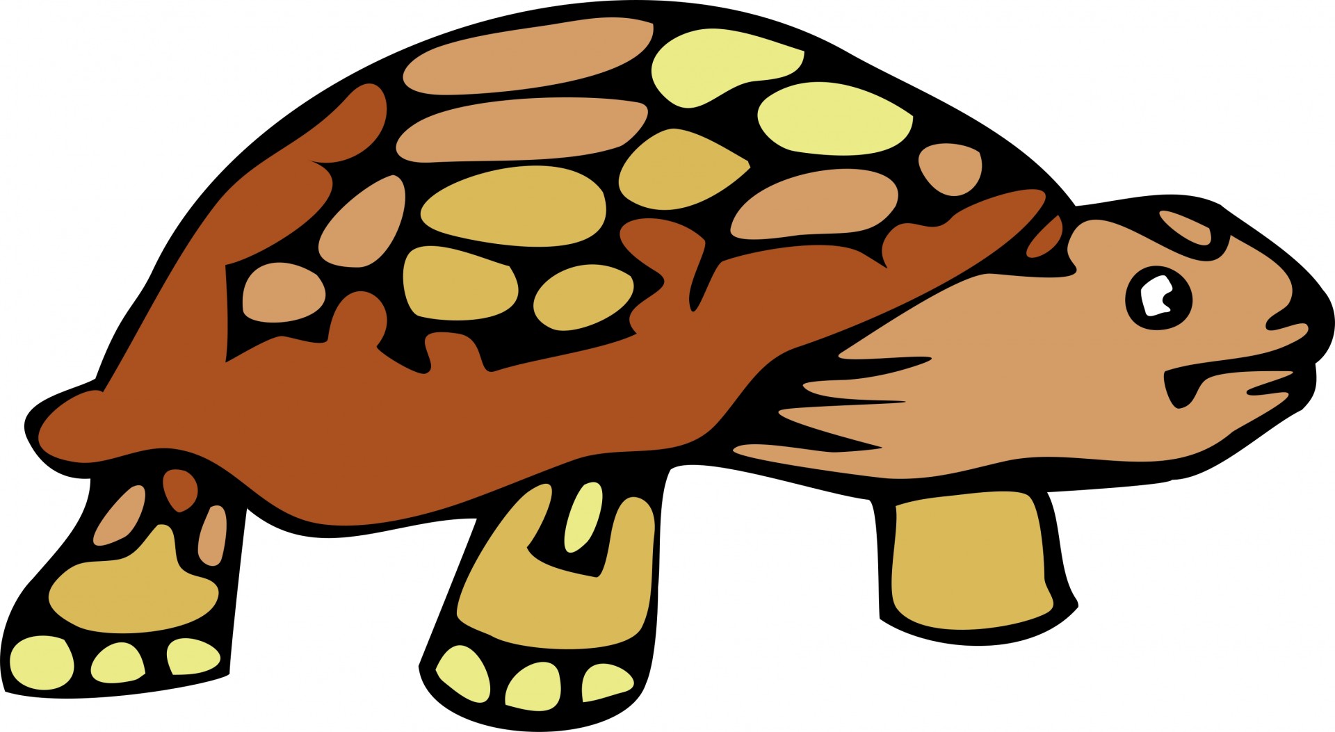 tortoise clipart free - photo #18