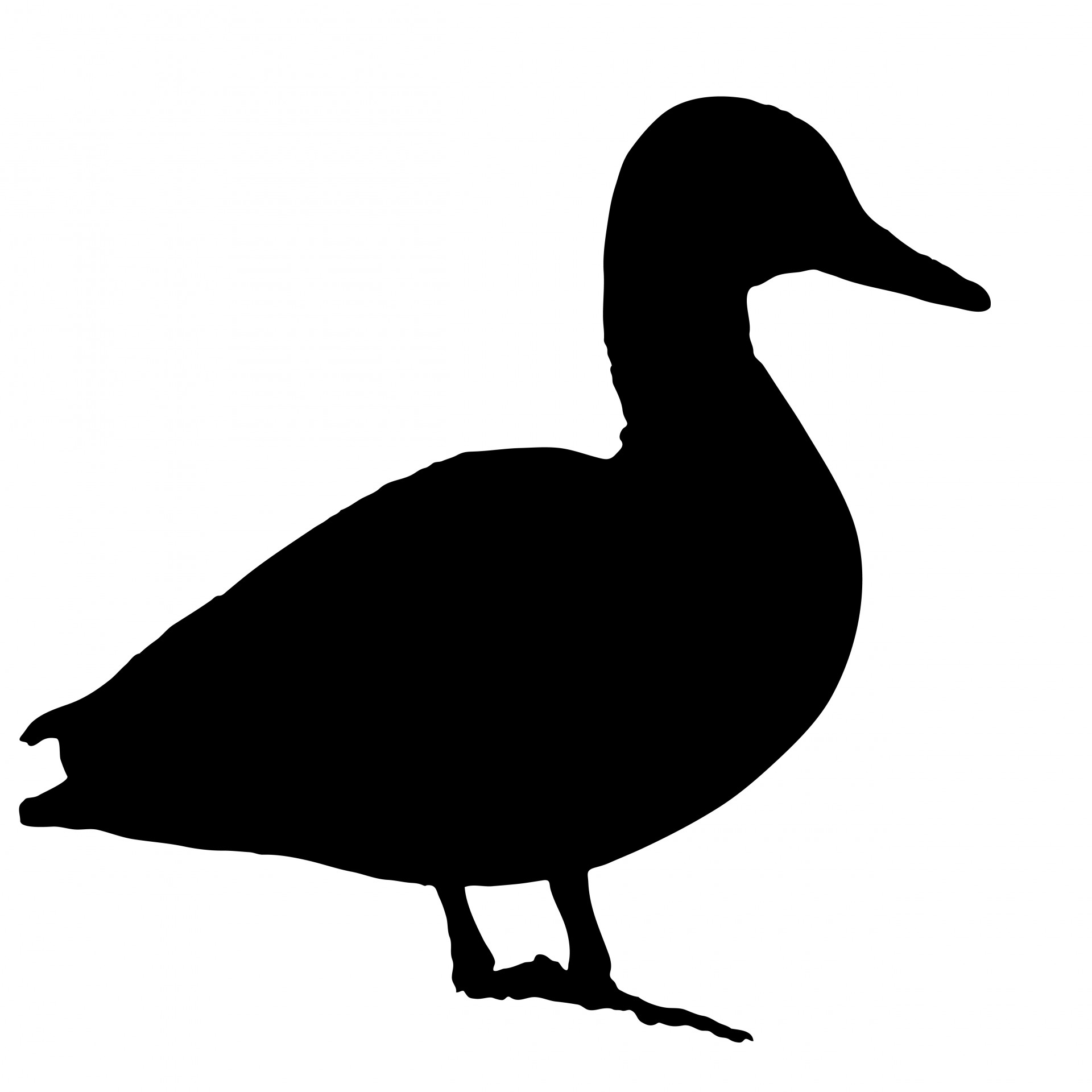 Image result for duck silhouette