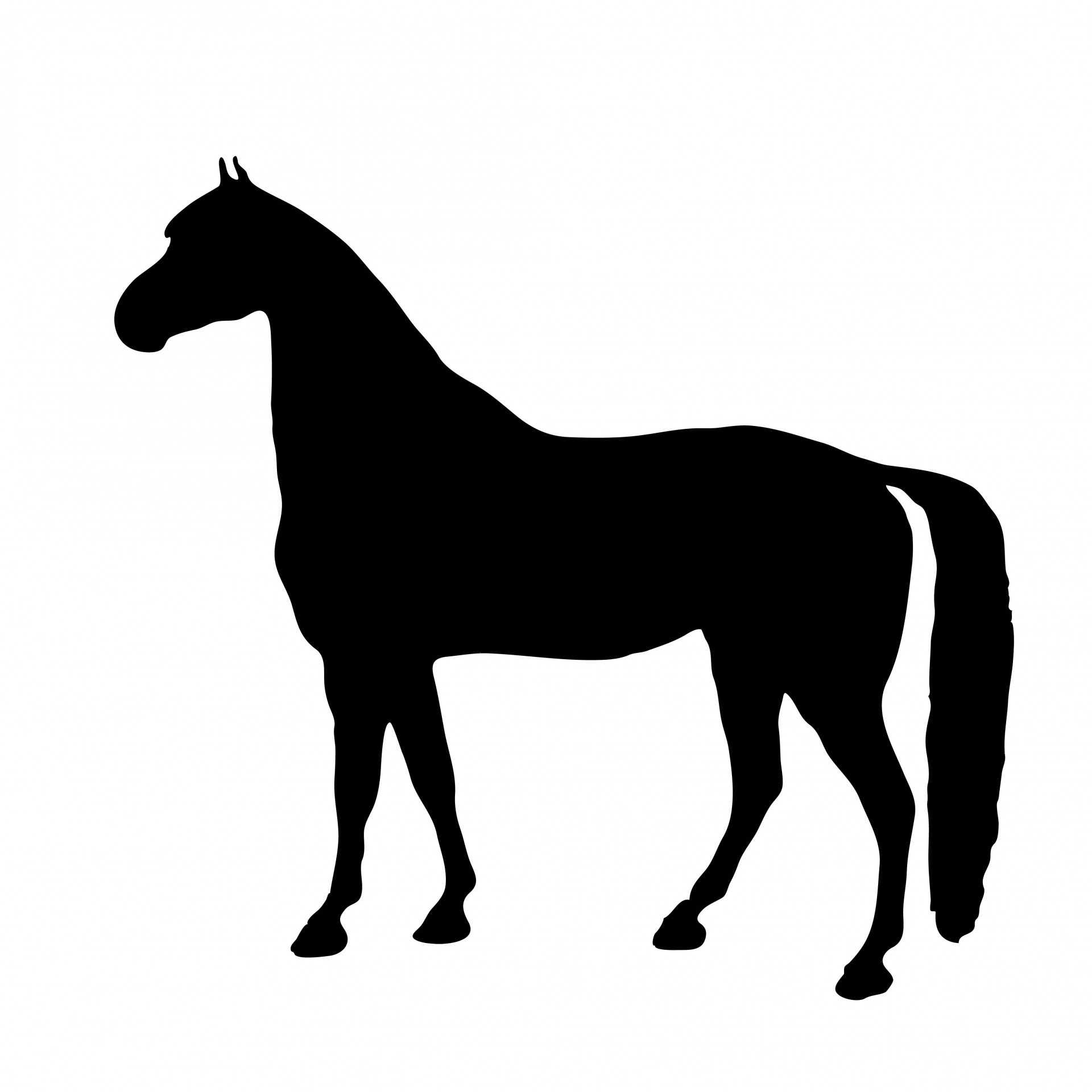 horse profile clipart - photo #13