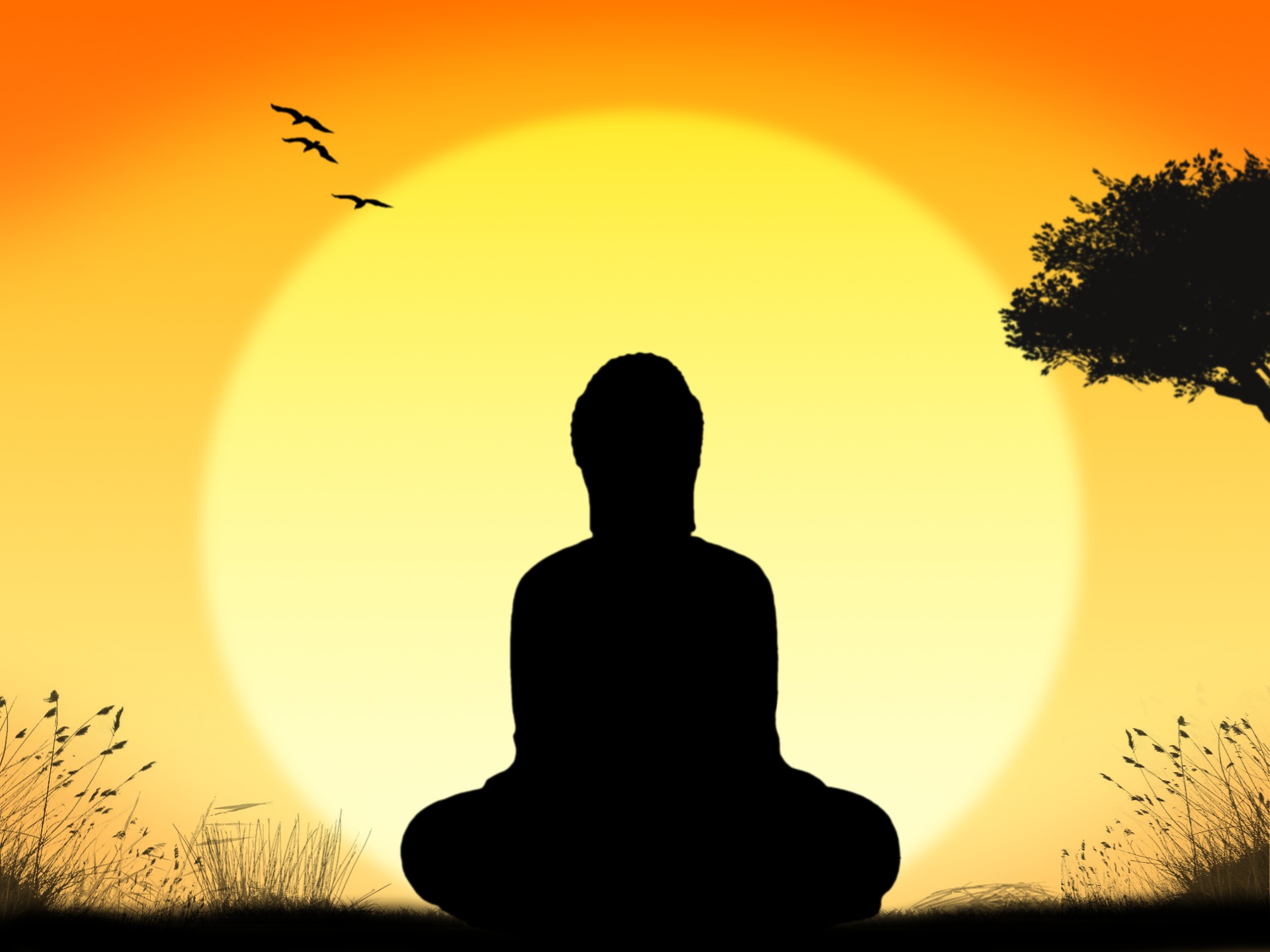 Image result for meditation