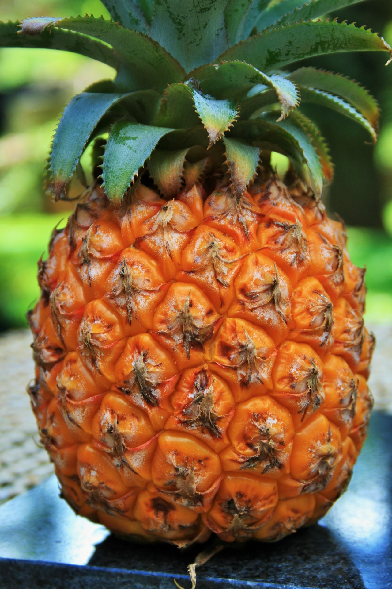 Whole Pineapple Free Stock Photo - Public Domain Pictures