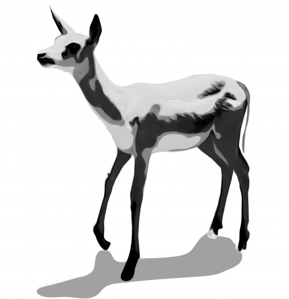 free clip art black and white deer - photo #44