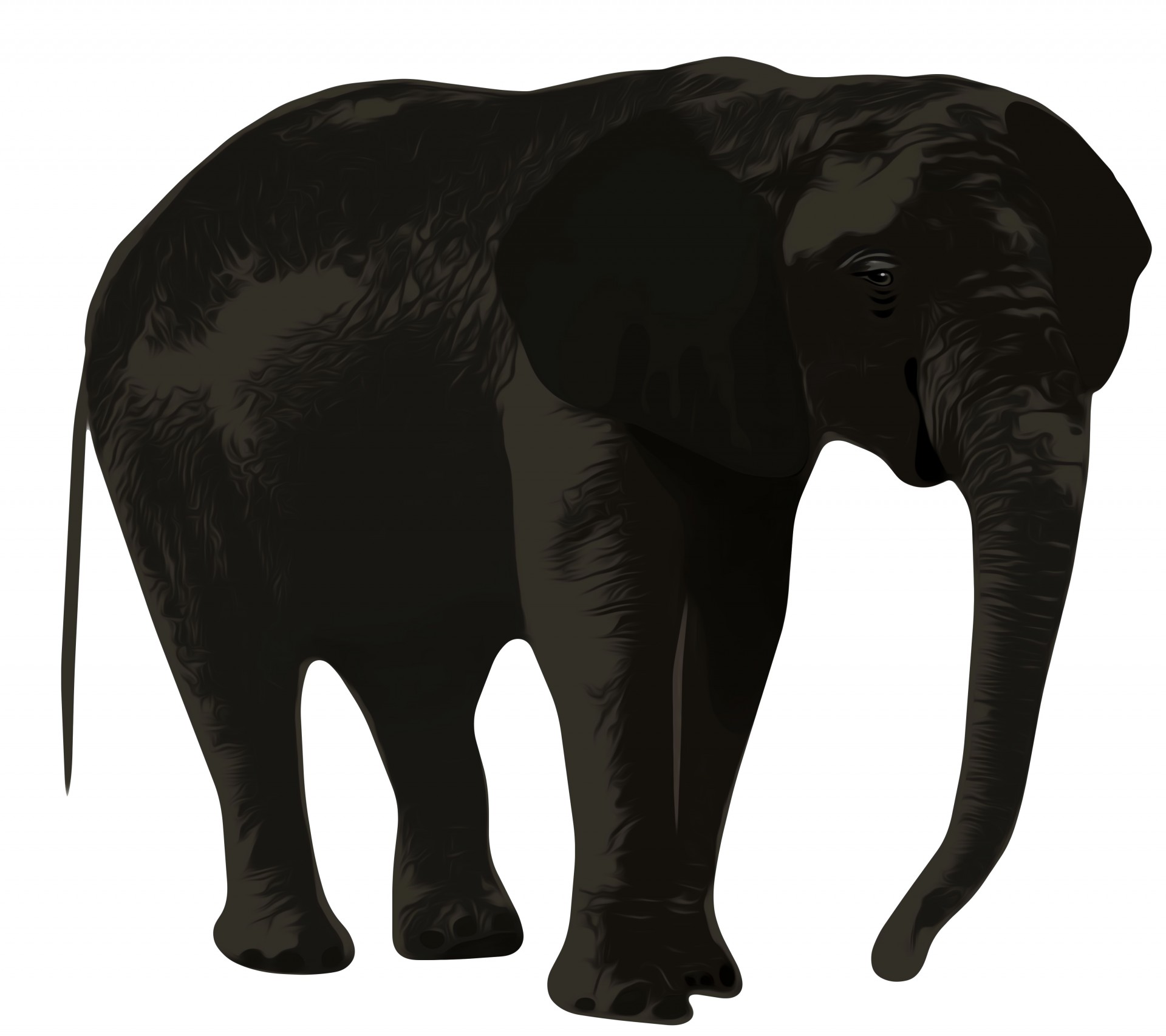 Clip Art Elephant
