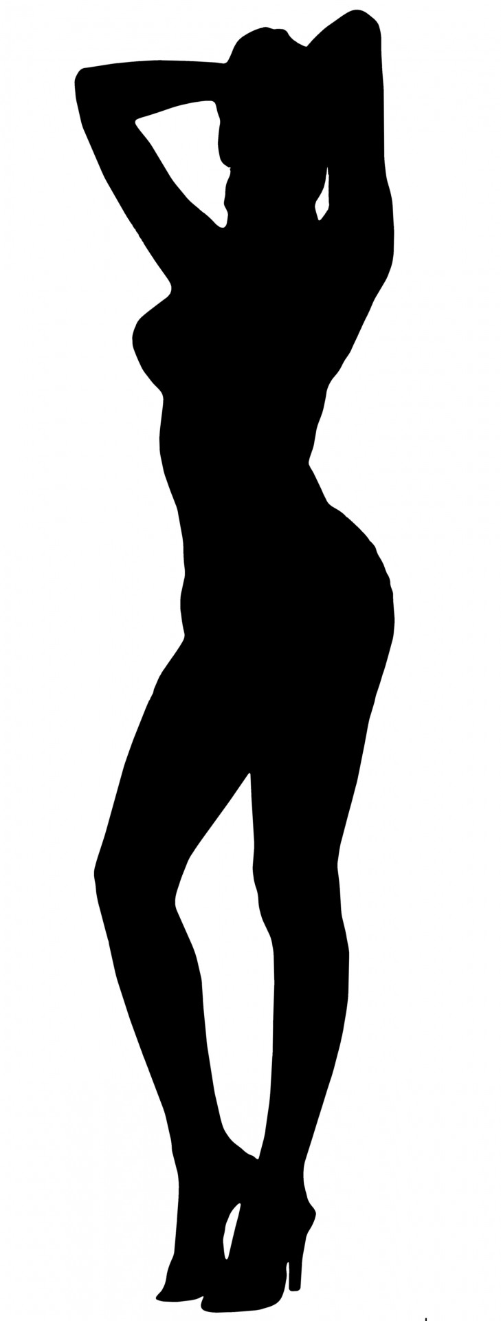 Silhouette Woman 7 Free Stock Photo - Public Domain Pictures