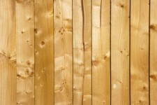 Dřevo textury