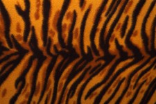 Tiger Muster