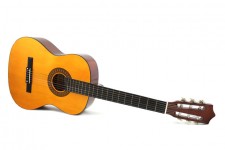 Acoustic guitar