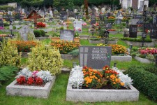 Cementerio con flores