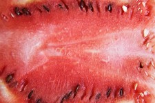Wassermelone Hintergrund