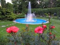 Kwiaty i fontanna