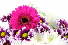 Paarse bloem bouquet