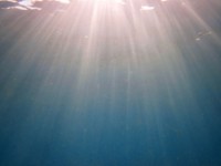 Underwater ljus rays
