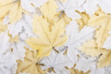 Blättern Dekoration Hintergrund