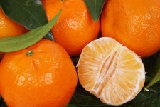 Loupané mandarinky