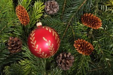 Christbaumkugel auf christmas tree backg