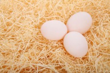 Eieren op stro