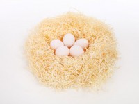 Eieren in nest